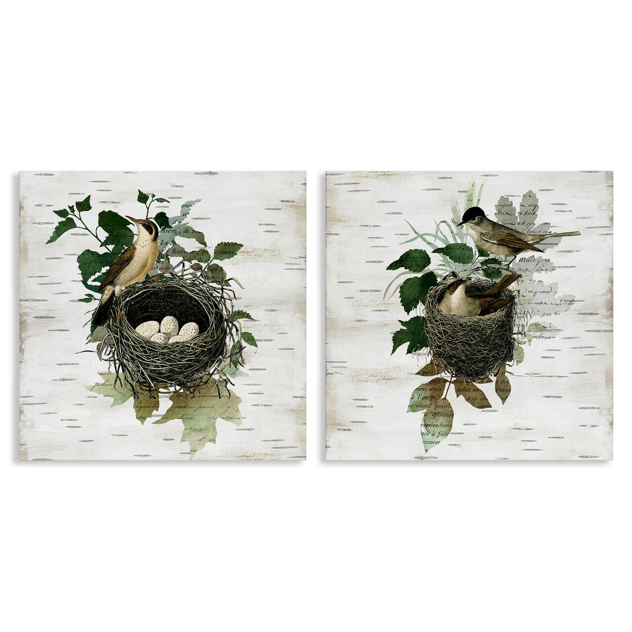 Stupell Industries Rustic Vintage Bird Nests 2pc Canvas Set Design by Susan Arnot